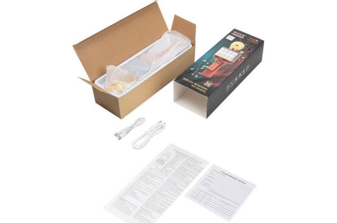 Караоке микрофон WSTER WS-1828 (Bluetooth, динамики, USB) (золотистый)