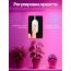 Фито-лента для растений Огонек OG-LDL38 Розовая (3м, IP65)