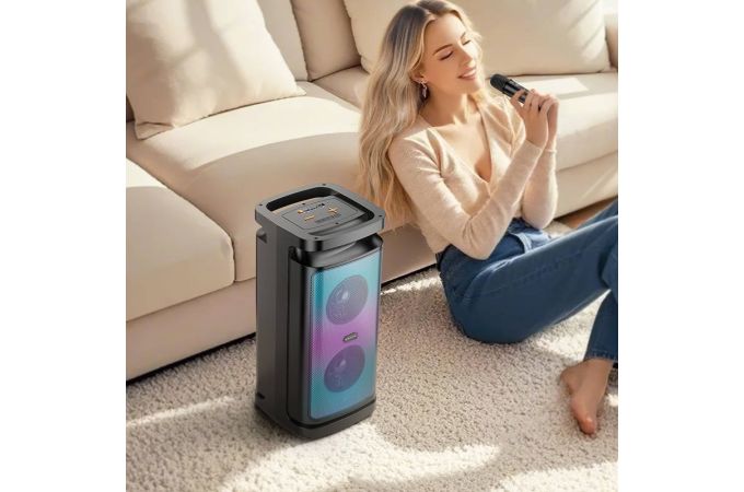 Активная напольная акустика BOROFONE BP25 Vida BT с микрофоном (черный)