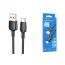 Кабель USB - USB Type-C BOROFONE BX93 100W (черный) 1м