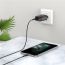 Сетевое зарядное устройство 2USB + кабель Lightning HOCO C86A Illustrious 2400mAh (черный)