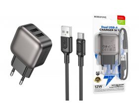 Сетевое зарядное устройство USB + кабель Type-C BOROFONE BAS51A (черный)