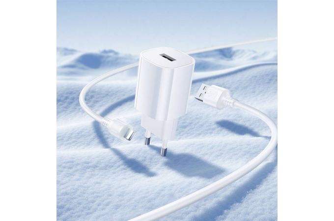 Сетевое зарядное устройство USB + кабель Lightning BOROFONE BA101A Pudding (белый)