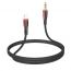 Кабель аудио BOROFONE BL14 (штекер Lightning - штекер AUX) Digital audio conversion cable (белый)