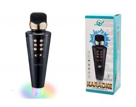 Караоке микрофон E-2711 беспроводной (Bluetooth, динамики, USB)