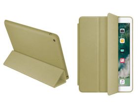 Чехол-книжка Smart Case для планшета iPad Air 3 (10.5) - Золотой (5)